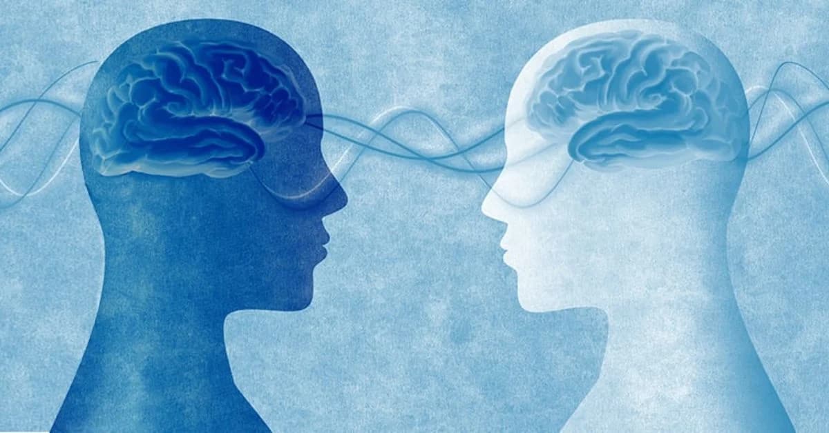 لغات تخصصی روانشناسی به انگلیسی | جامع‌ترین لیست اصطلاحات