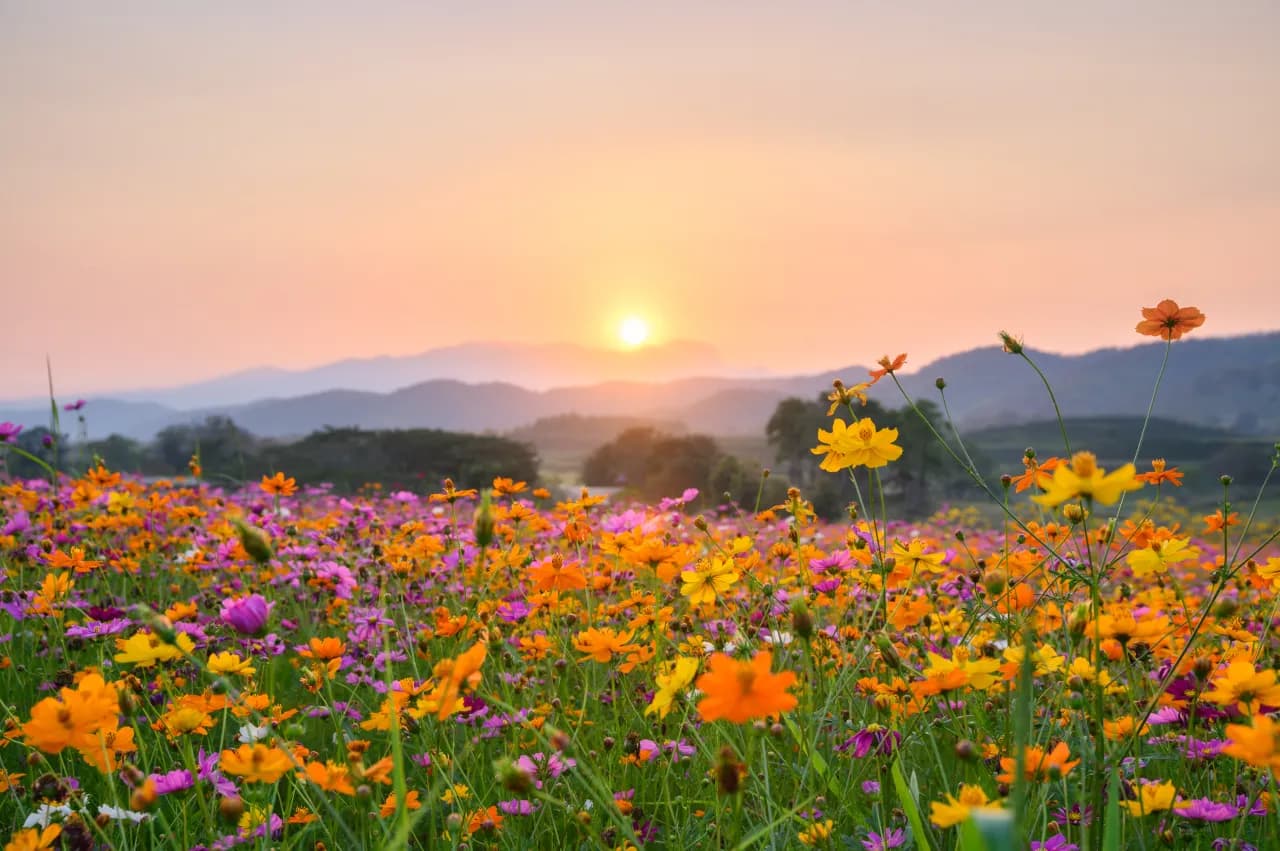 ماههای سال به آلمانی و معادل شمسی آنها